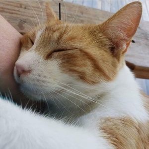 Meet your Posher, Kristy